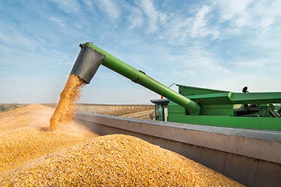 A combine unloading corn grain into a truck.