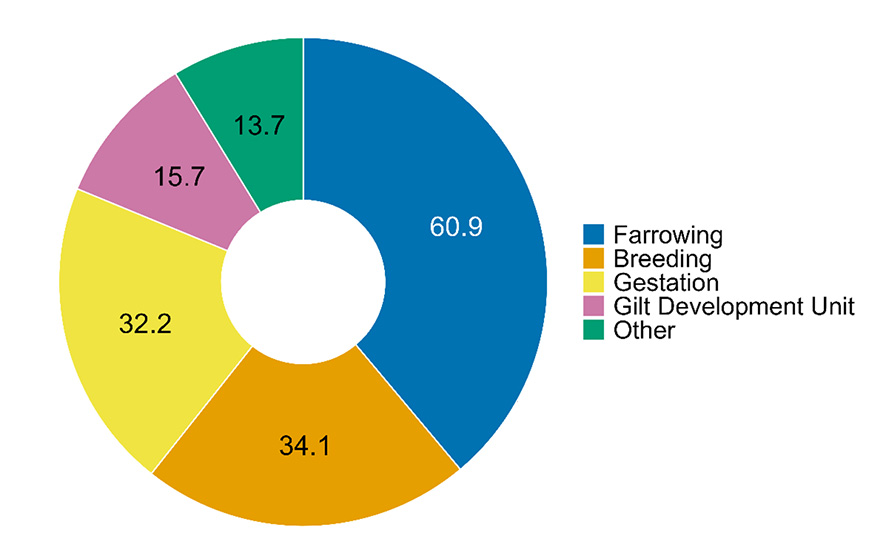 Pie graph showing the working stage of TN-visa workers.