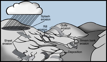 Types of soil erosion.