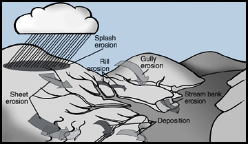 74,562 Soil Erosion Images, Stock Photos & Vectors | Shutterstock