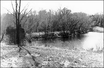 Don't allow trees and brush to grow on the dam or in the emergency spillway.