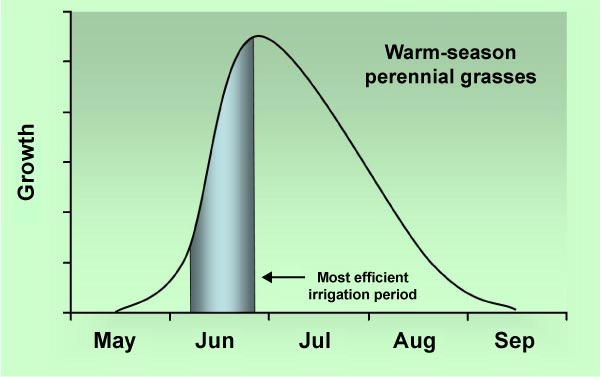 Line graph of typical growth patterns of warm-season perennial grasses.