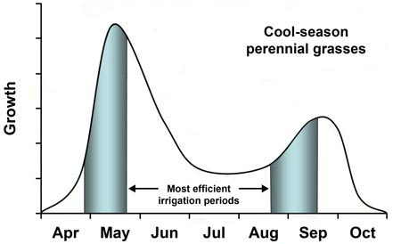 Typical growth patterns of cool-season perennial grass. Most efficient irrigation periods occur in late April, May, late August and September.
