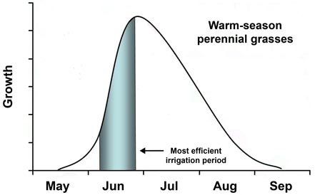 Graph showing warm-season perennial grass growth from May until September. Most efficient irrigation period occurs in June.