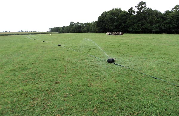 A pod-line irrigation system on pasture.