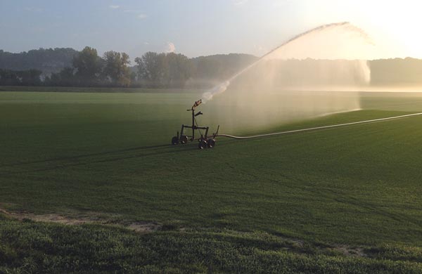 Hose-pull traveling gun irrigation system that is irrigating grass.