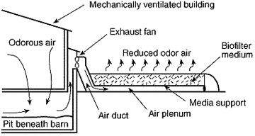 Graphic showing exhaust air passing from a livestock building through a biofilter.