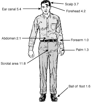 Graphic of man and skin areas.