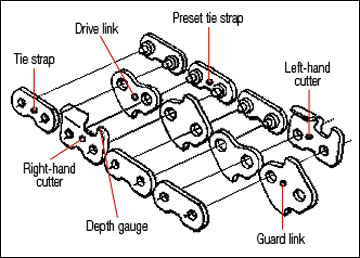 Parts of a cutting chain