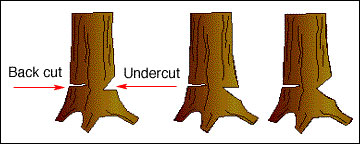 Three types of undercuts.