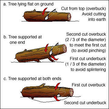 Different bucking procedures