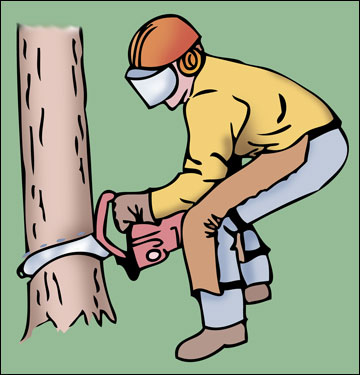 A man wearing personal protective equipment while felling a tree with a chain saw.