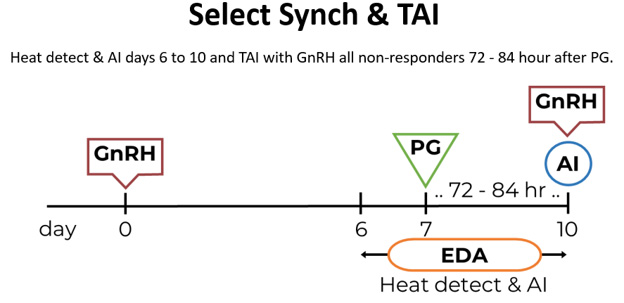 Select sync protocol timeline. Heat detect and AI days 6 to 10 and TAI with GnRH all non-responders 72-84 hour after PG.