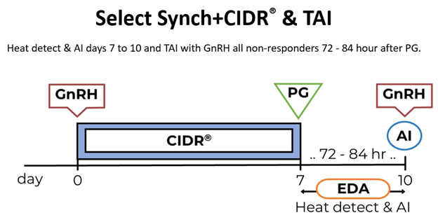 Select sync + CIDR protocol timeline. Heat detect and AI days 6 to 10 and TAI with GnRH all non-responders 72-84 hour after PG.