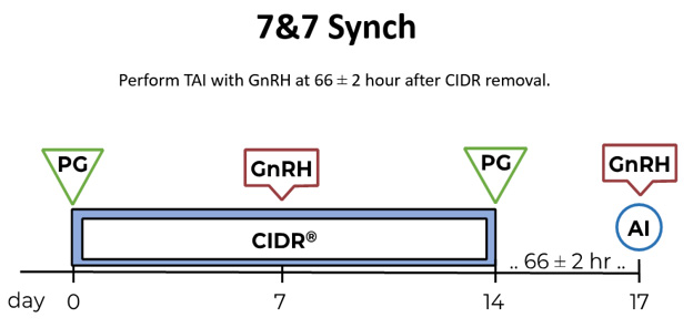 7&7 Sync protocol timeline. Perform TAI with GnRH at 66 ± 2 hour after CIDR removal.