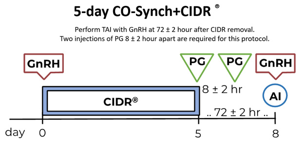 5-Day CO-Synch + CIDR protocol timeline. Perform TAI with GnRH at 72 ± 2 hour after CIDR removal. Two injections of PG 8 ± 2 hour apart are required for this protocol.