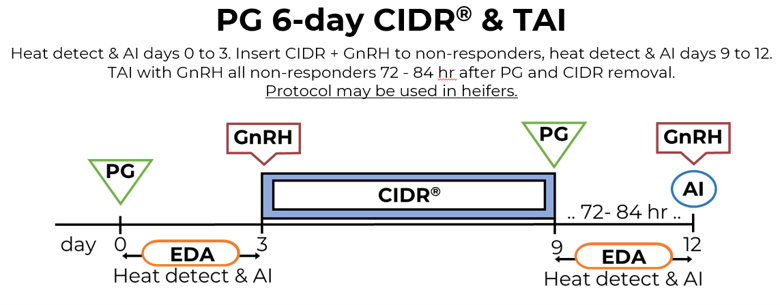 PG 6-Day CIDR protocol timeline. Heat detect and AI days 0 to 3. Insert CIDR + GnRH to non-responders, heat detect and AI days 9 to 12. TAI with GnRH all non-responders 72-84 hours after PG and CIDR removal. Protocol may be used in heifers.