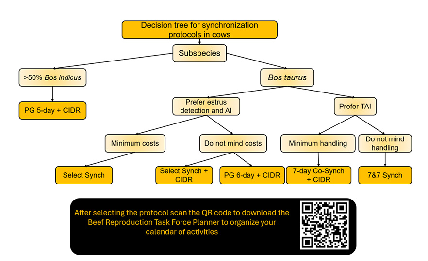 Decision tree to determine best synchronization protocol.