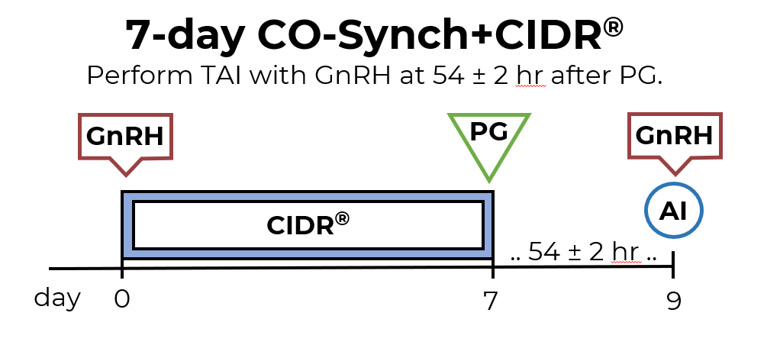 7-Day CO-Synch + CIDR protocol timeline. Perform TAI with GnRH at 54 ± 2 hr after PG.