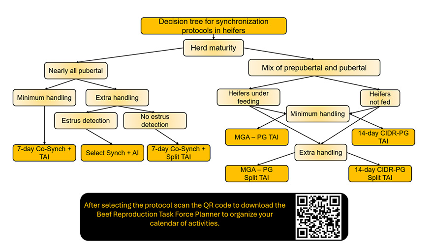 Decision tree to determine best synchronization protocol.