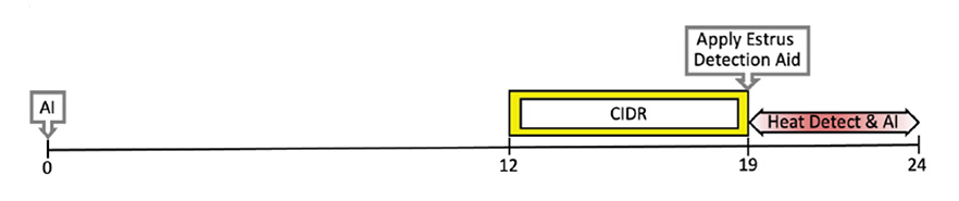 Data chart.