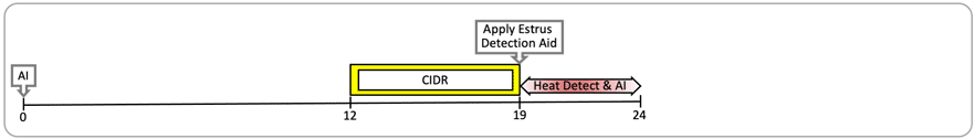 Graph starting at artificial insemination, Day 0, and going to CIDR, Days 12 to 19; apply estrus detection aid on Day 19; and heat detect and AI, Days 19 to 24.