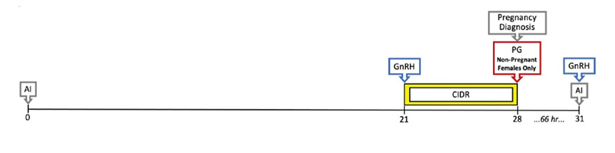 Data chart.