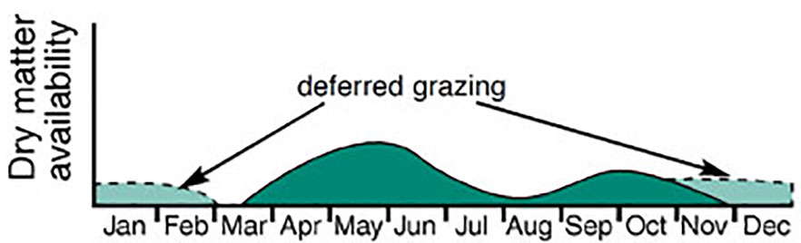 Graph depicting when tall fescue yield is greatest in Missouri and when to defer grazing.
