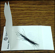 Placement of hair root samples on a collection card