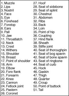 Key to confirmation point numbers.