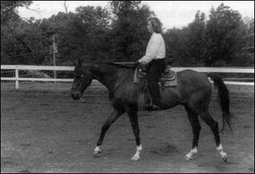 A woman riding a horse with the reins at a comfortable length.