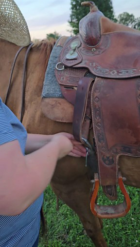 Checking the girth tightening.