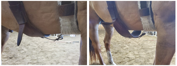 Left cinch well tightened. Right cinch is too loose.