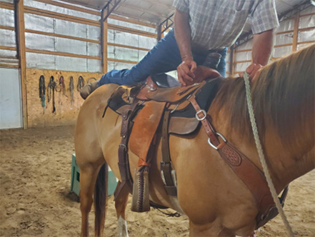 A man mounting a horse.
