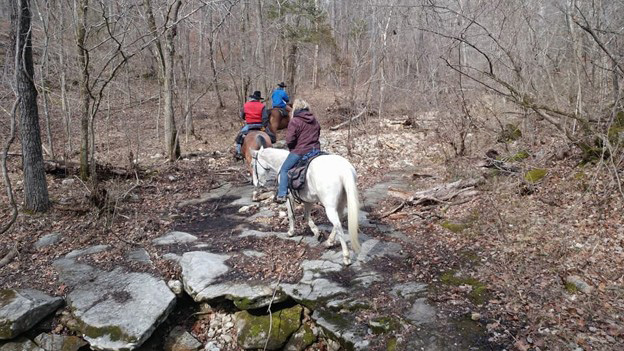 A group of riders on a trail in the woods.