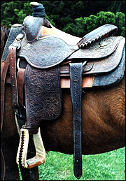 Roping saddle.