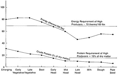 Energy and crude protein content of wheat silage harvest at different stages.