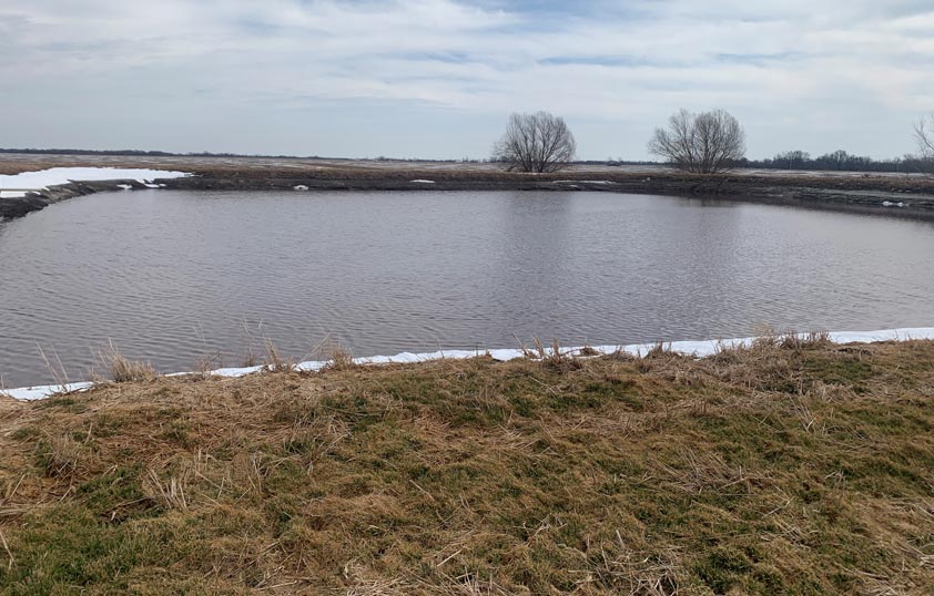 Lagoon in the pig farm.