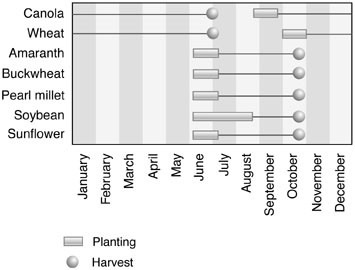 Range of planting and harvest dates in a double-crop system