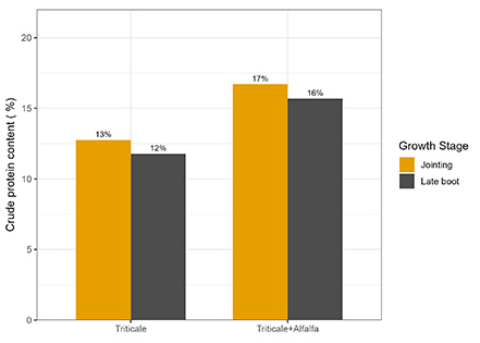 Crude protein bar chart.