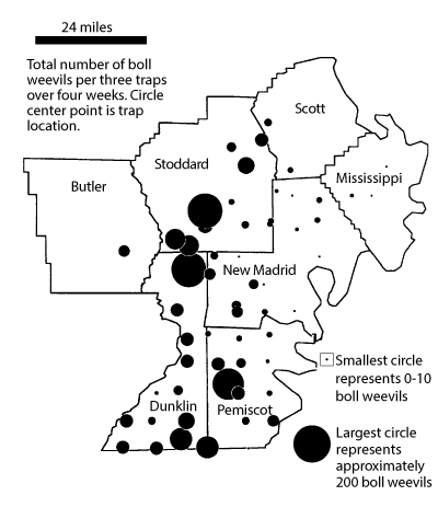 Map showing distribution of boll weevils in southern Missouri.