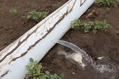 Lay-flat pipe with holes punched into it for irrigation.