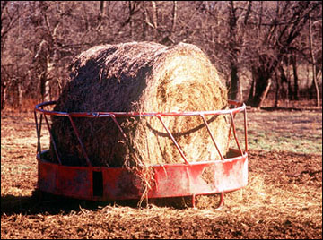 Minimizing storage losses of round bale hay