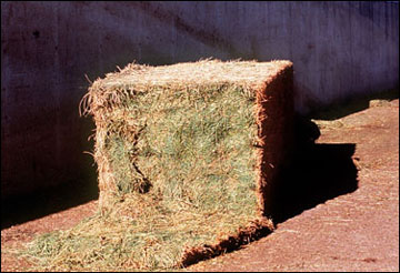 Large square hay bale.