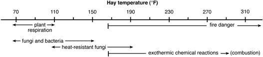 Graph showing causative agents in the heating of hay.