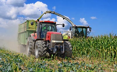 A corn harvester in a field.