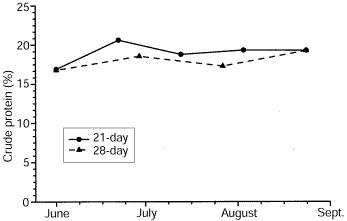 Graph showing that crude protein values in bermudagrass vary over the season but little between different cutting intervals.