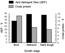 Graph showing effects after the boot stage of development.