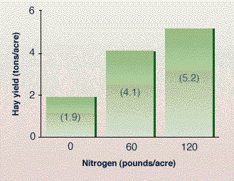 Response of caucasian bluestream to nitrogen.