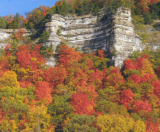 Photo of white limestone bluffs surrounded by colorful fall trees.